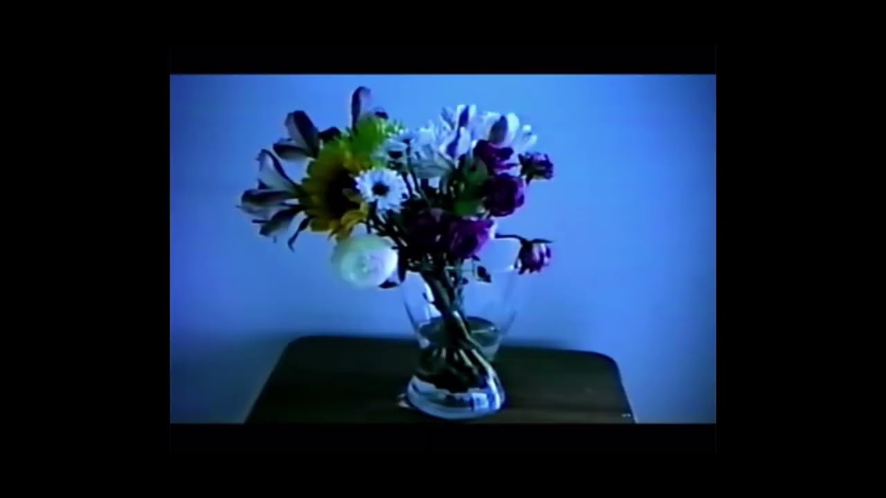(free) surrenderdorothy x bones type beat “itrustyoubut,underonecondition”