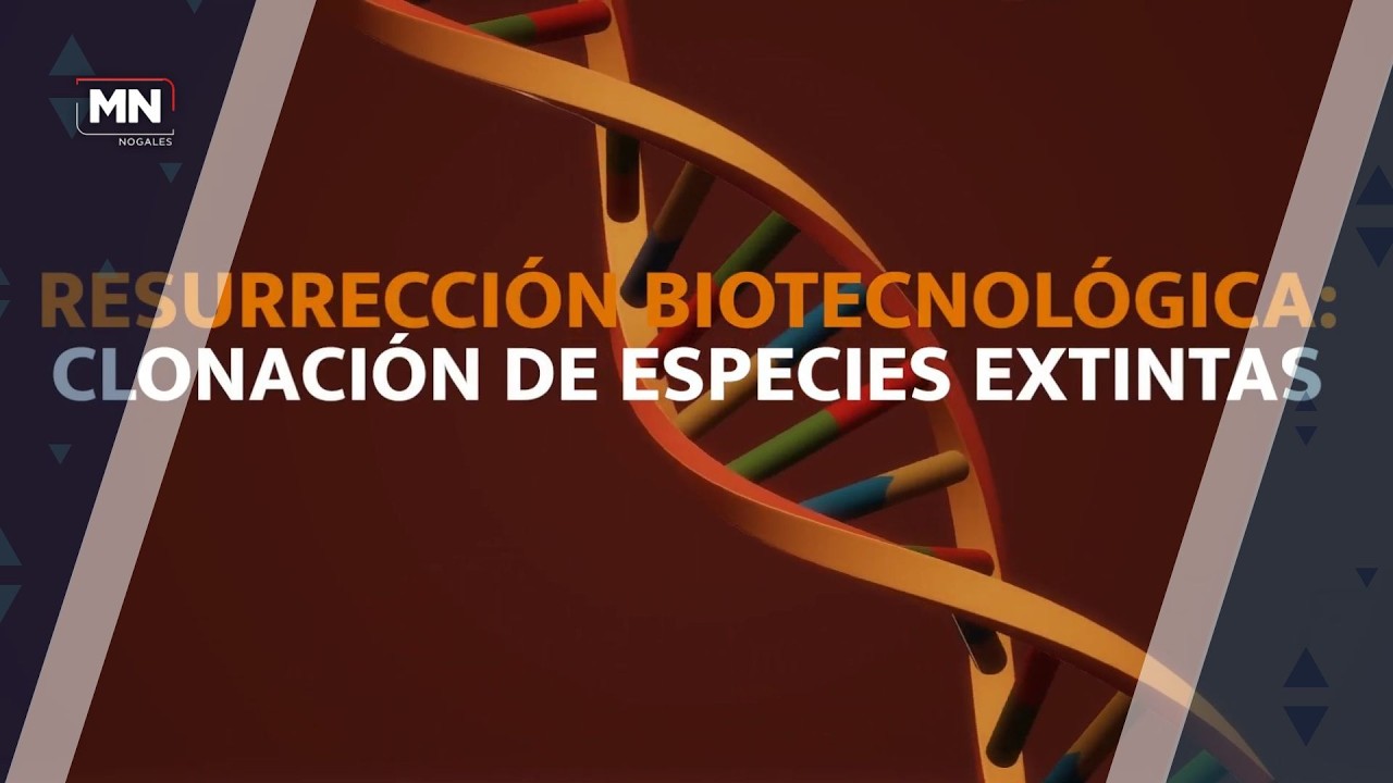 MEGATECNOLOGIA CON DULCE FELIX [RESURRECCIÓN BIOTECNOLÓGICA: CLONACIÓN DE ESPECIES EXTINTAS]