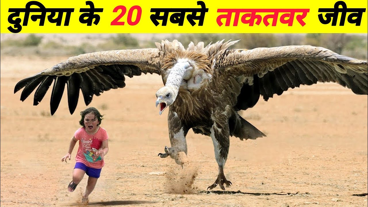 धरती के 20 सबसे ताकतवर जीव | Most Powerful Animals
