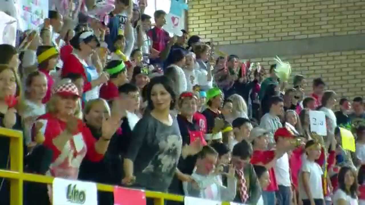 Lino višebojac u O.Š. Darda