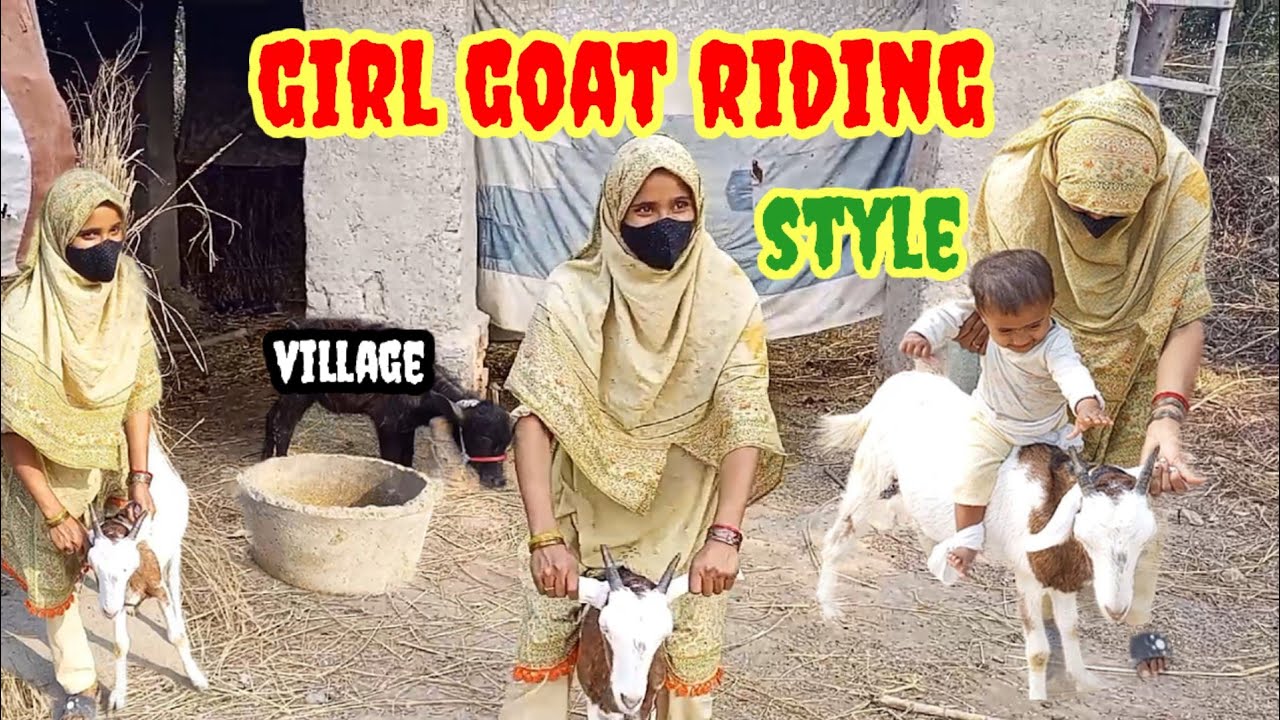 Girl goat riding full weight || sadam family vlogs