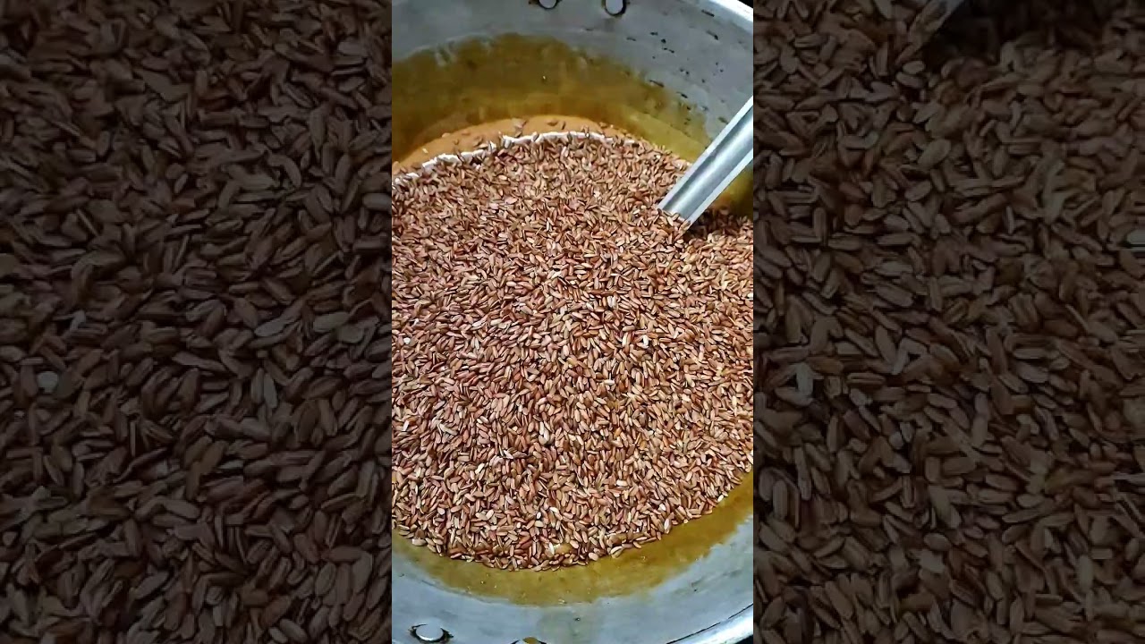 Seeratu Arisi Recipe In Tamil #shorts #ytshorts #redrice #cooking #samayal #foodreview #tummytime