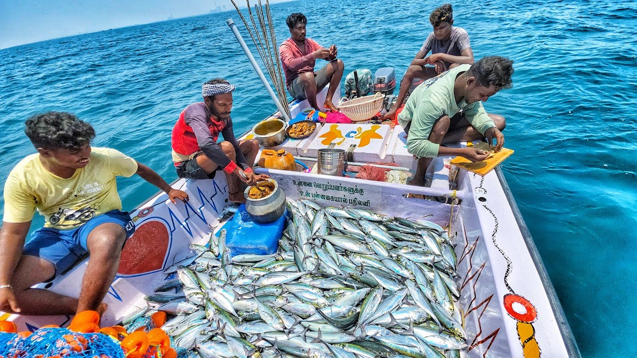 Рыба Бирьяни. Увлекательная кулинария на море.