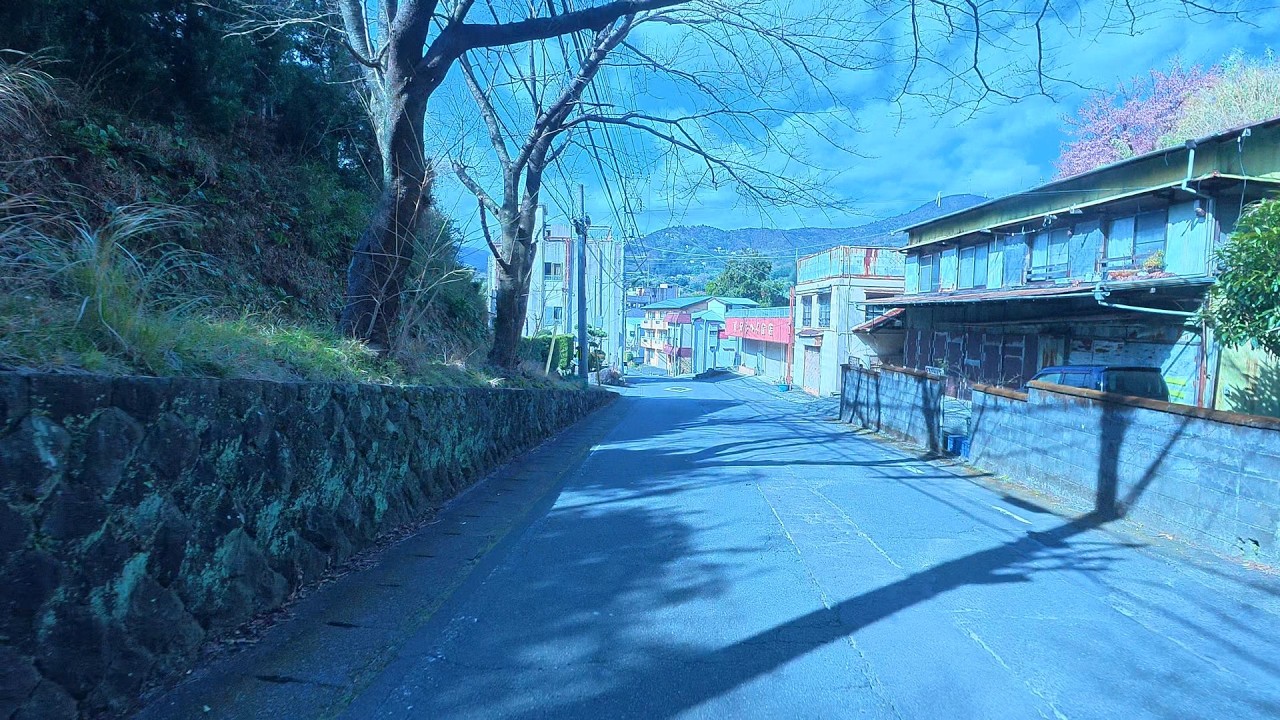 Peaceful Spring Ride in Japan Countryside | Atami to Kawazu | Ocean, Mountains & Sakura