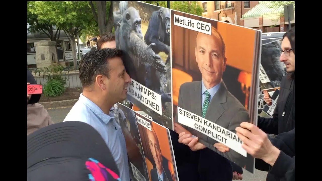 Chimp Protest at Home of MetLife CEO Steven Kandarian
