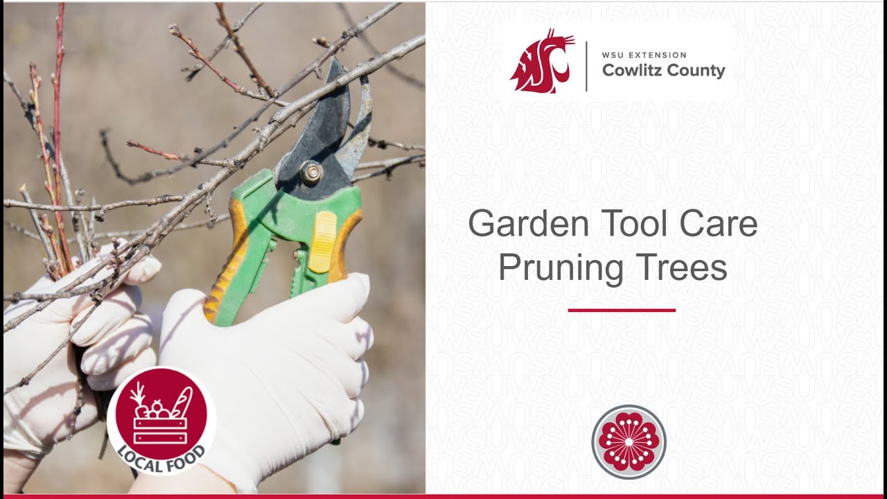 Tool care and Pruning