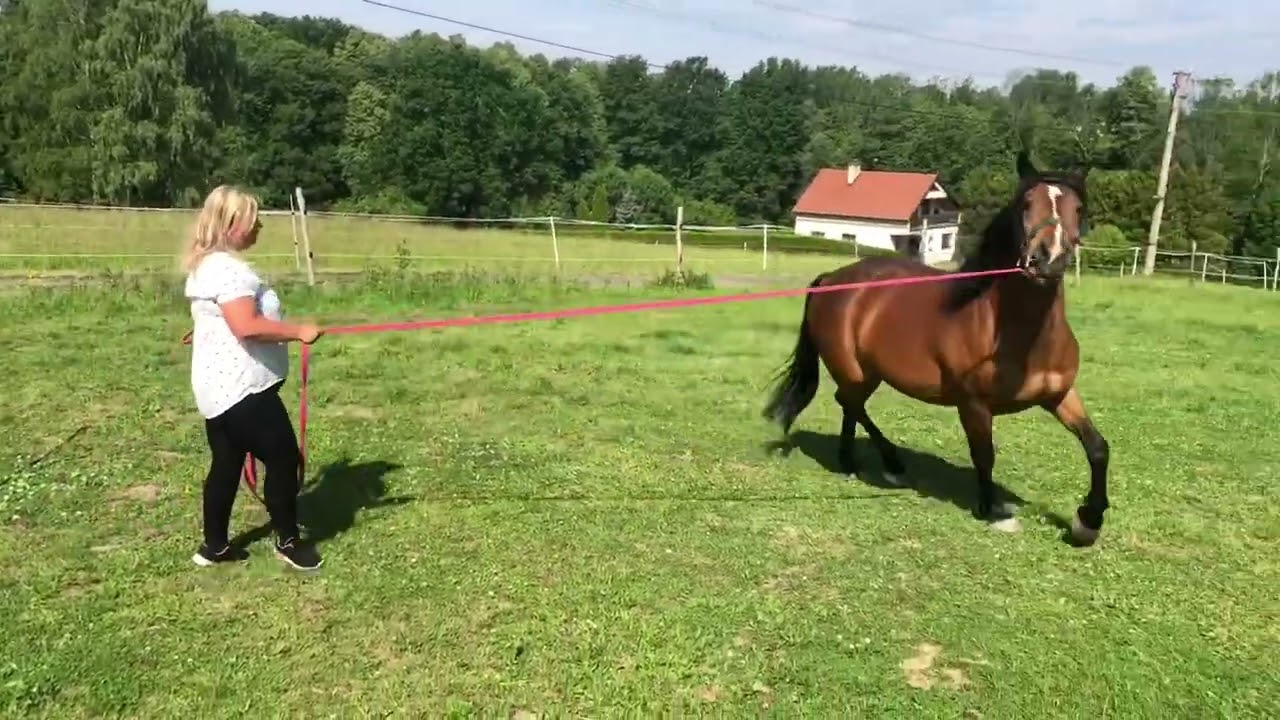 1.tréning: Tvrdohlavá Lola - bez respektu