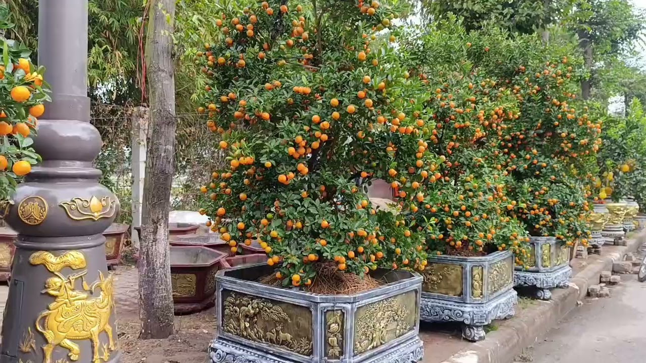 Chiều cuối tuần ; Đi ngắm chợ hoa ở đường Huyền Quang Bắc Ninh?