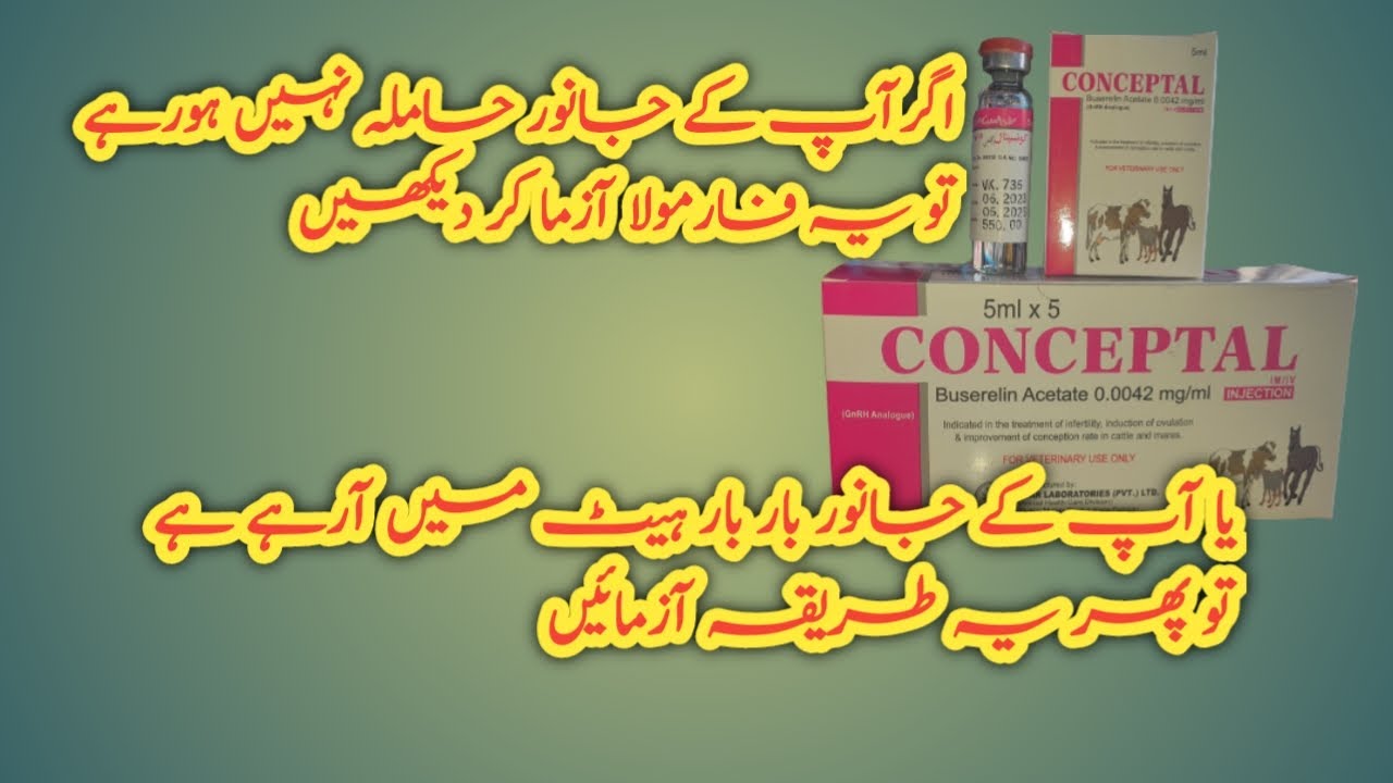 Conceptal injection use in animals! Why animals repat ! Cystic animals tretment