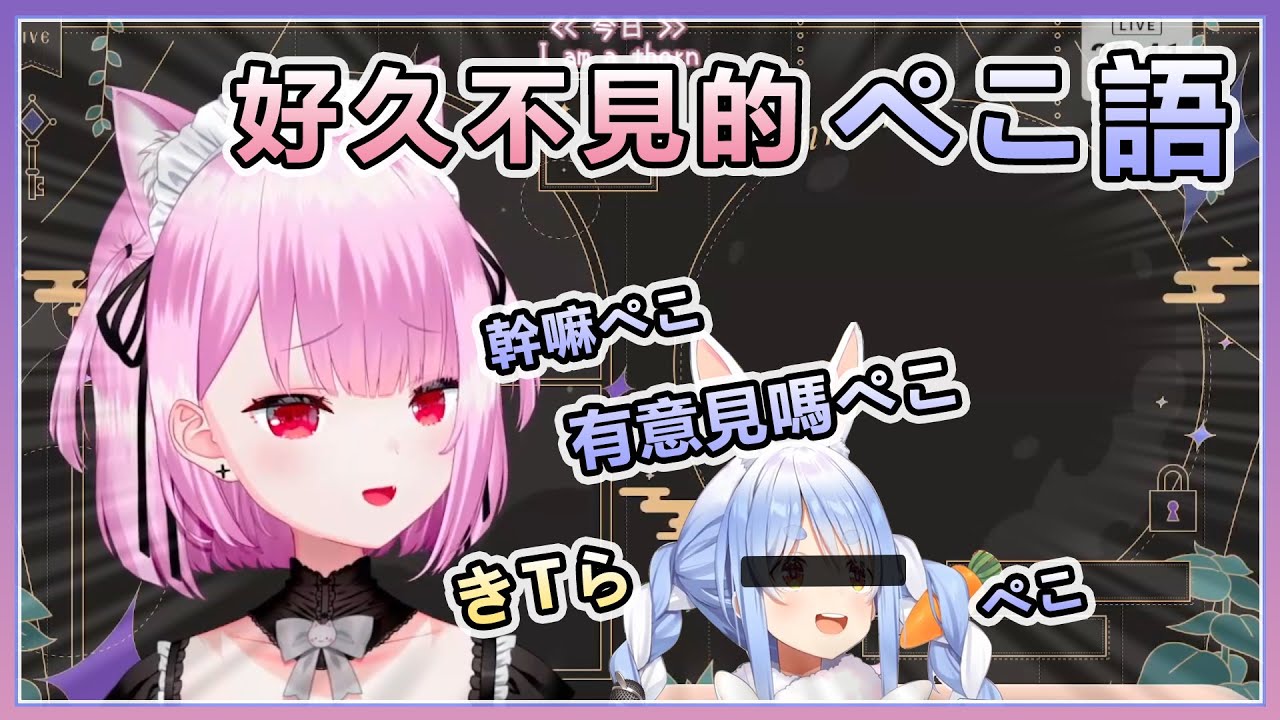 みけ醬的戀愛觀 和好久不見的ぺこぺこ語【みけねこ/三色貓】