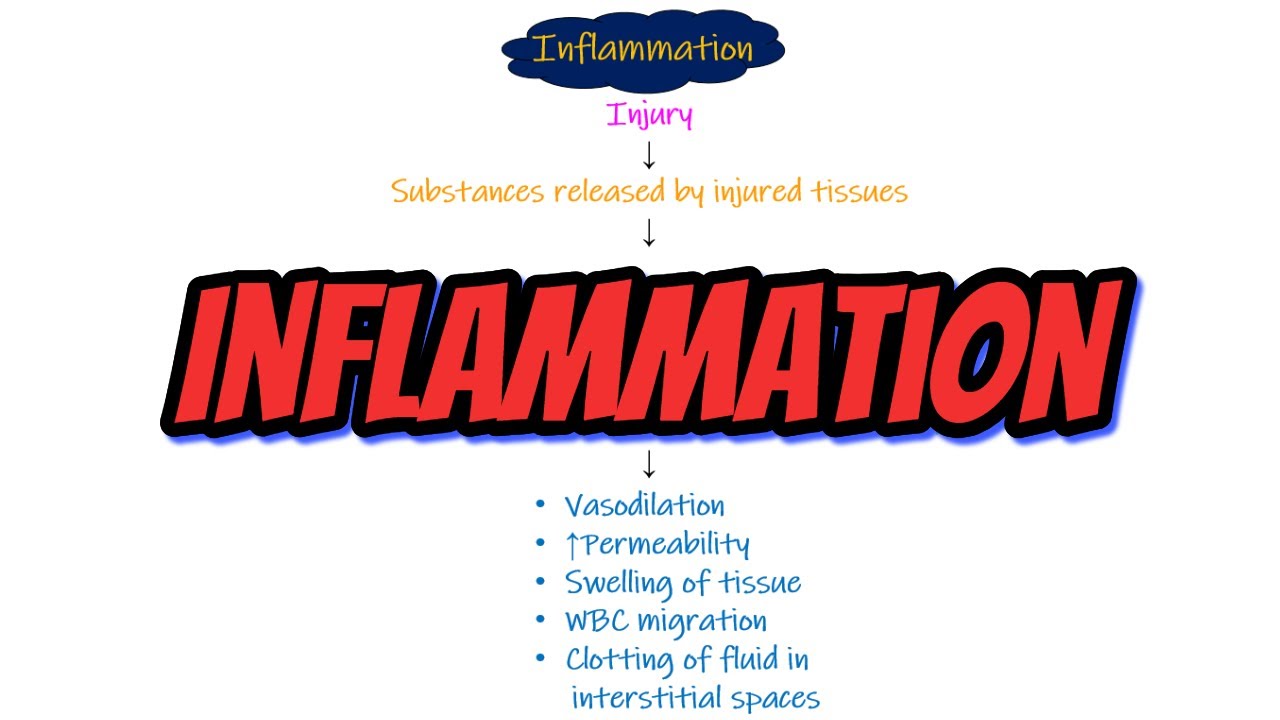 Inflammation. Chapter 34 part 5. Guyton and Hall Physiology.