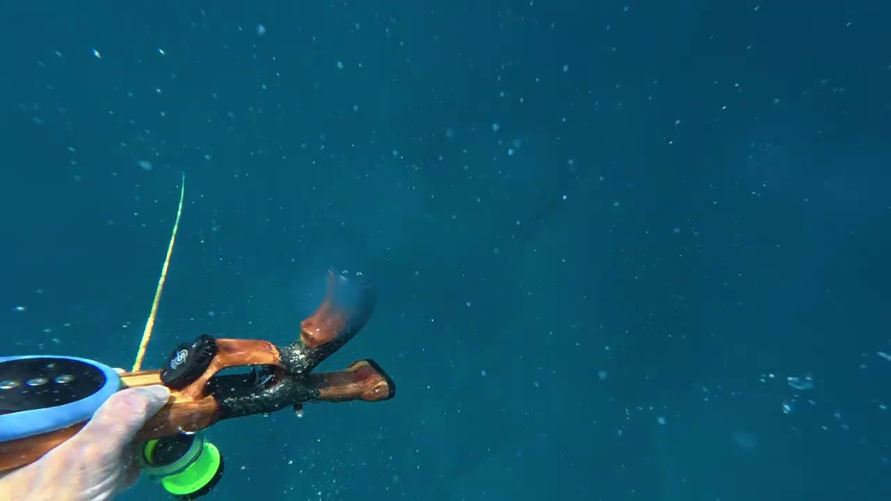 Punta Burica 🐠🤙🏻 Boquipenda roller inverter EthanSpearguns 