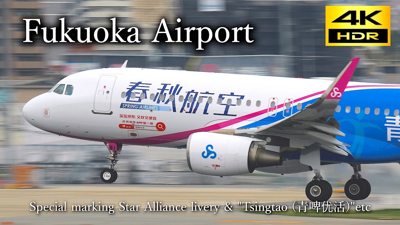 【4K】福岡空港 エバー航空 スターアライアンス塗装 & 春秋航空
