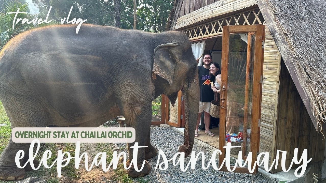 Spending one night with the elephants in Chiang Mai, Thailand | Magical stay at Chai Lai Orchid