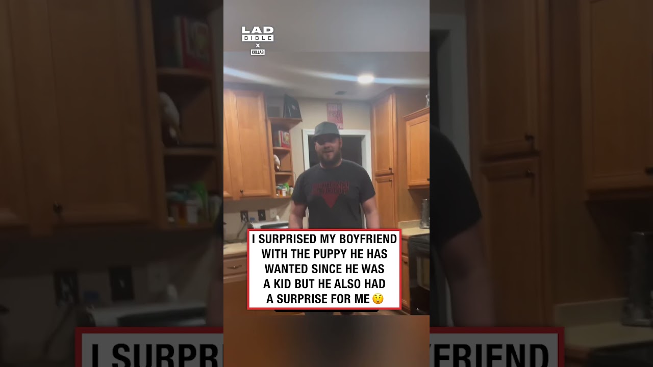 Пара удивила друг друга щенками в один и тот же день 😅😲 (🎥: Коллаборация)
