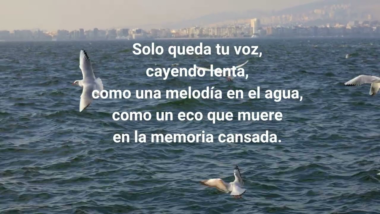 UNA HERMOSA MENTIRA