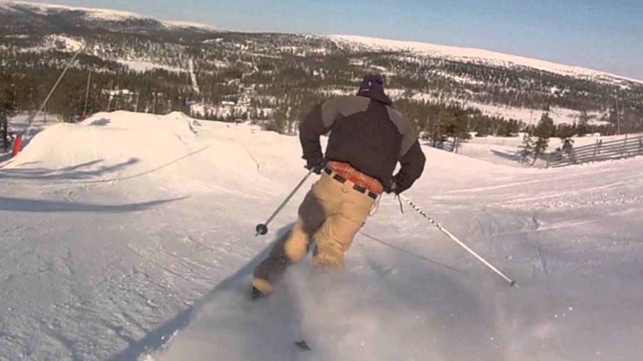 telemark sticks