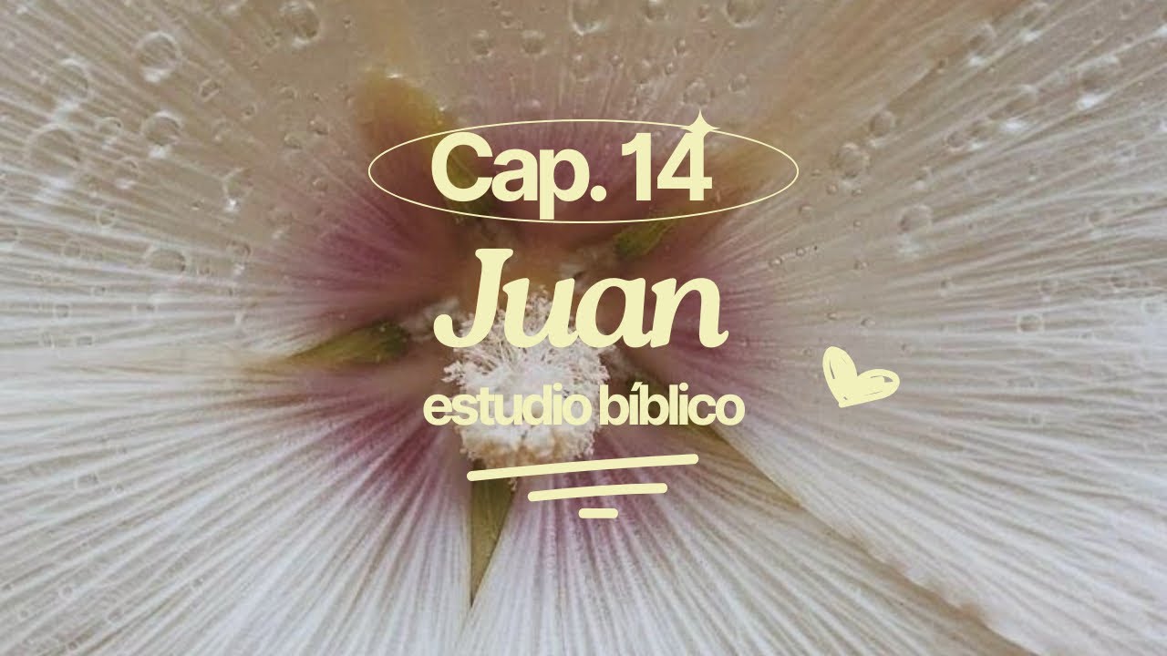 Juan Cap&iacute;tulo 14 - Estudio B&iacute;blico