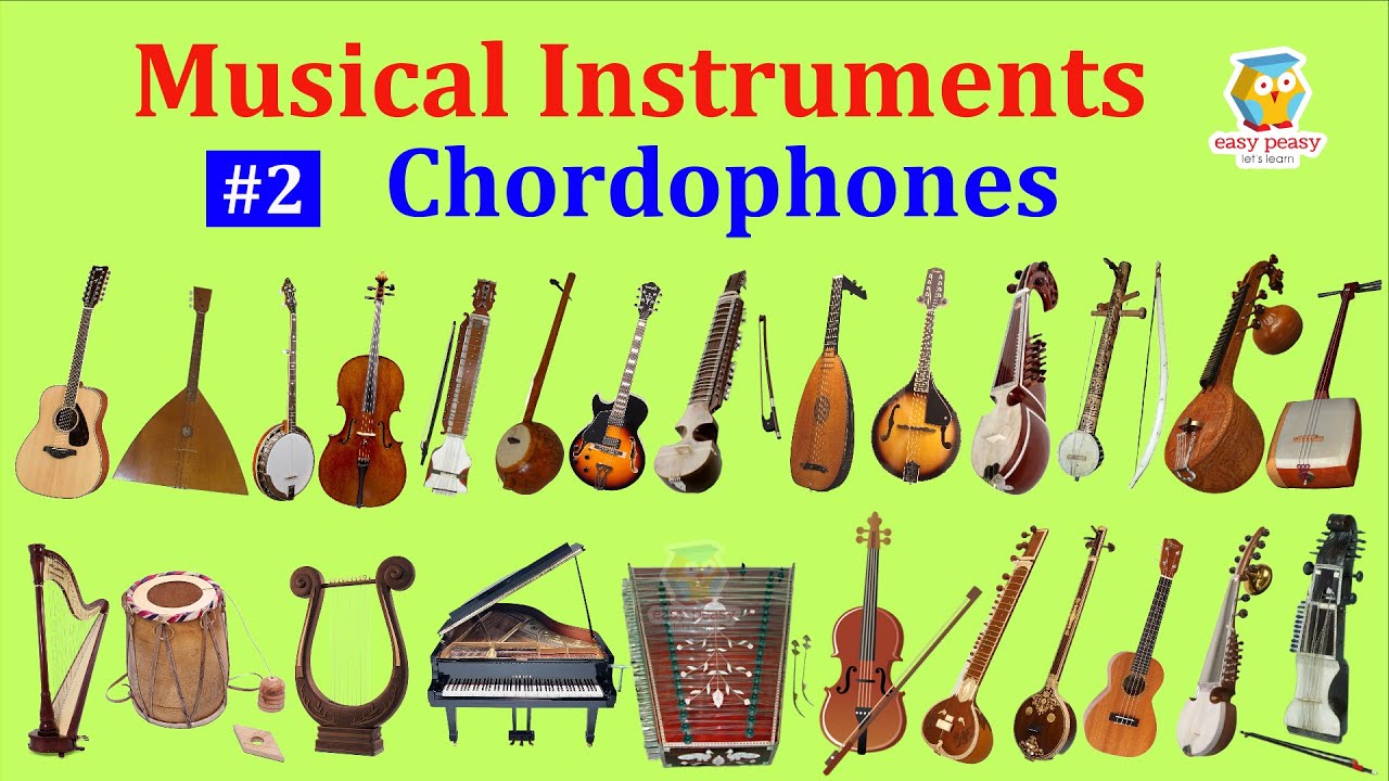Chordophones: 26 Musical Instruments' Names, Pictures & Sounds | Ethnographic Classification #viral