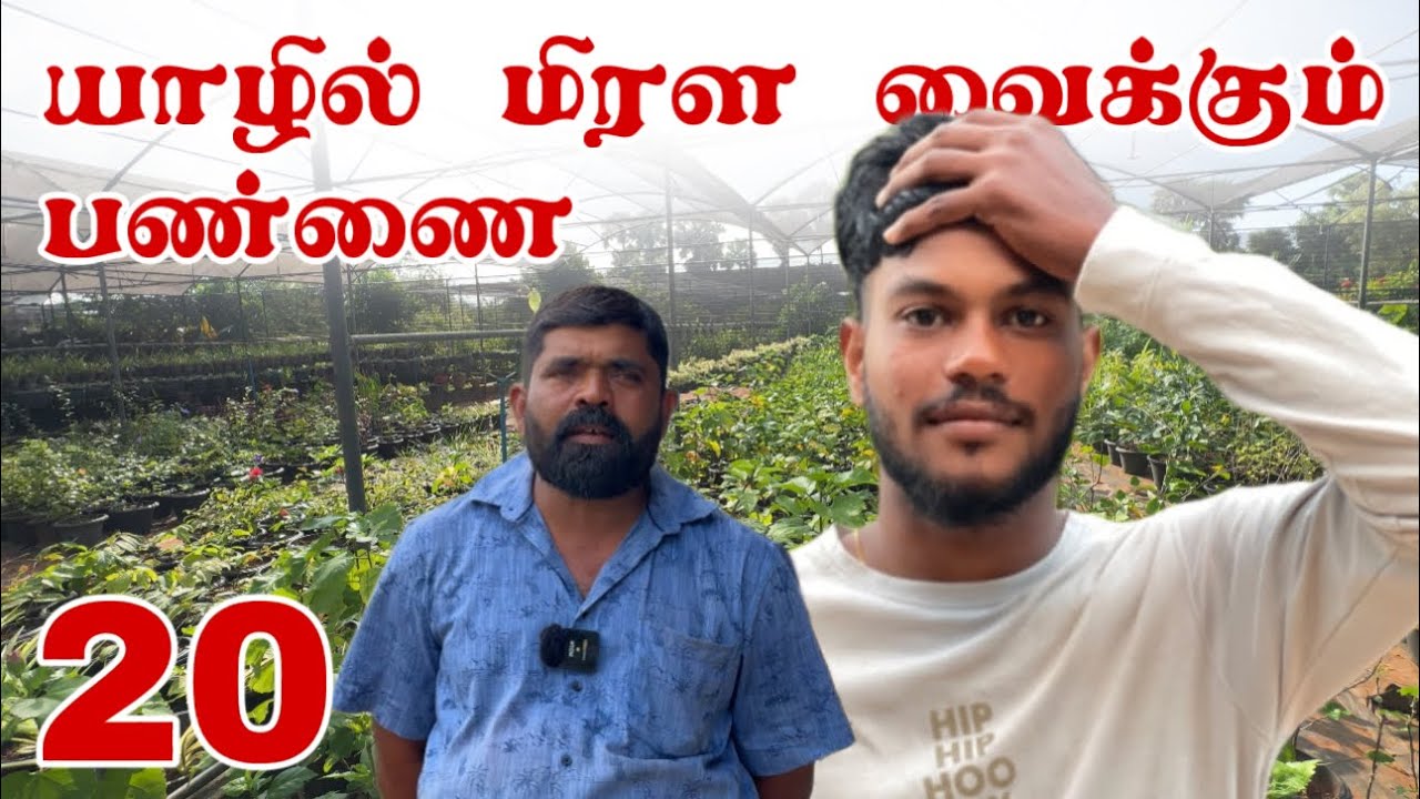 யாழில் மிரள வைக்கும் மிகப்பெரிய பண்ணை | Farm tour in Jaffna | Sakinth