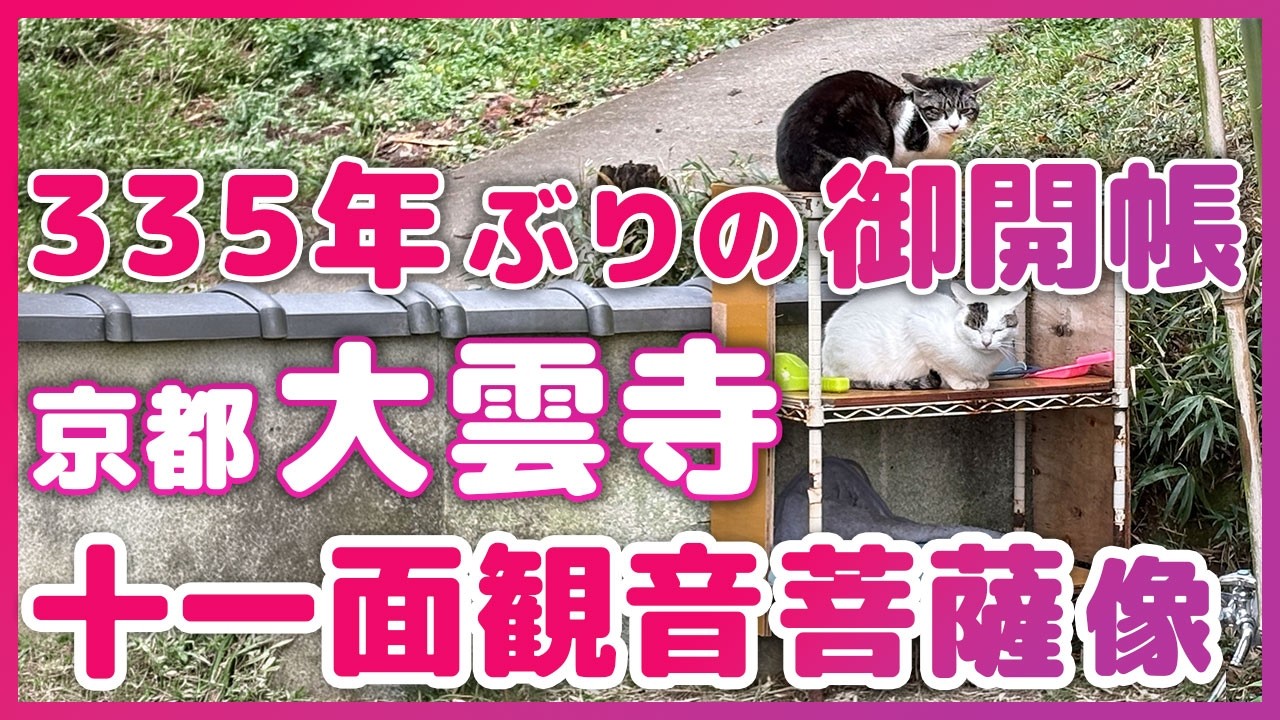 まさかの335年ぶりのご開帳！　京都・大雲寺さんに行ってきた！　ただうち香織の奈良通信 2月27日号
