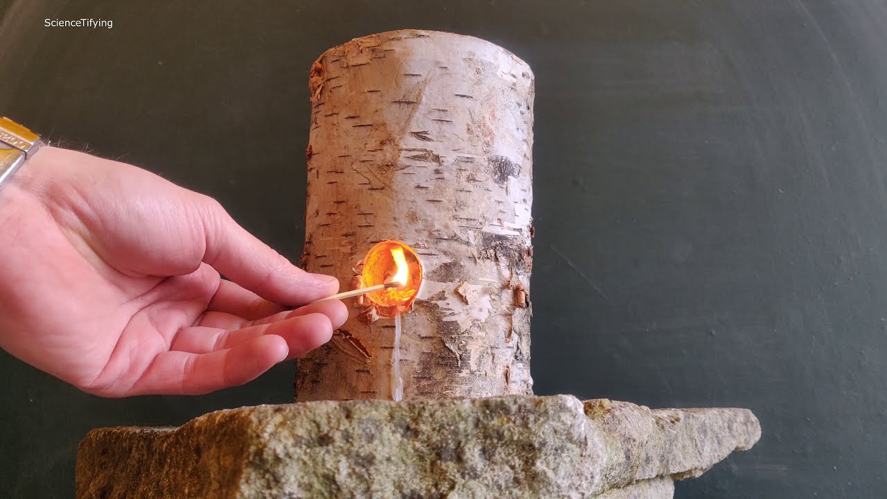 Log burning to Ash TimeLapse 4K 🔥