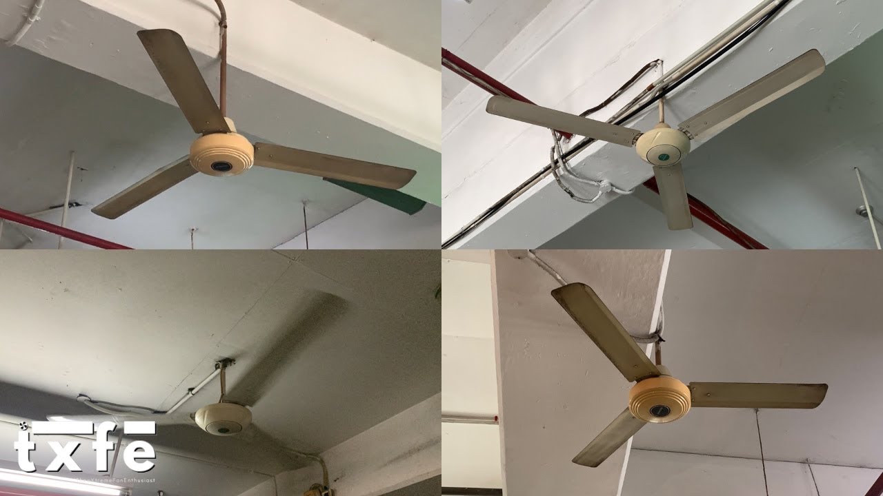 National and Panasonic Industrial Ceiling Fans | 2024 Update | Public Sighting
