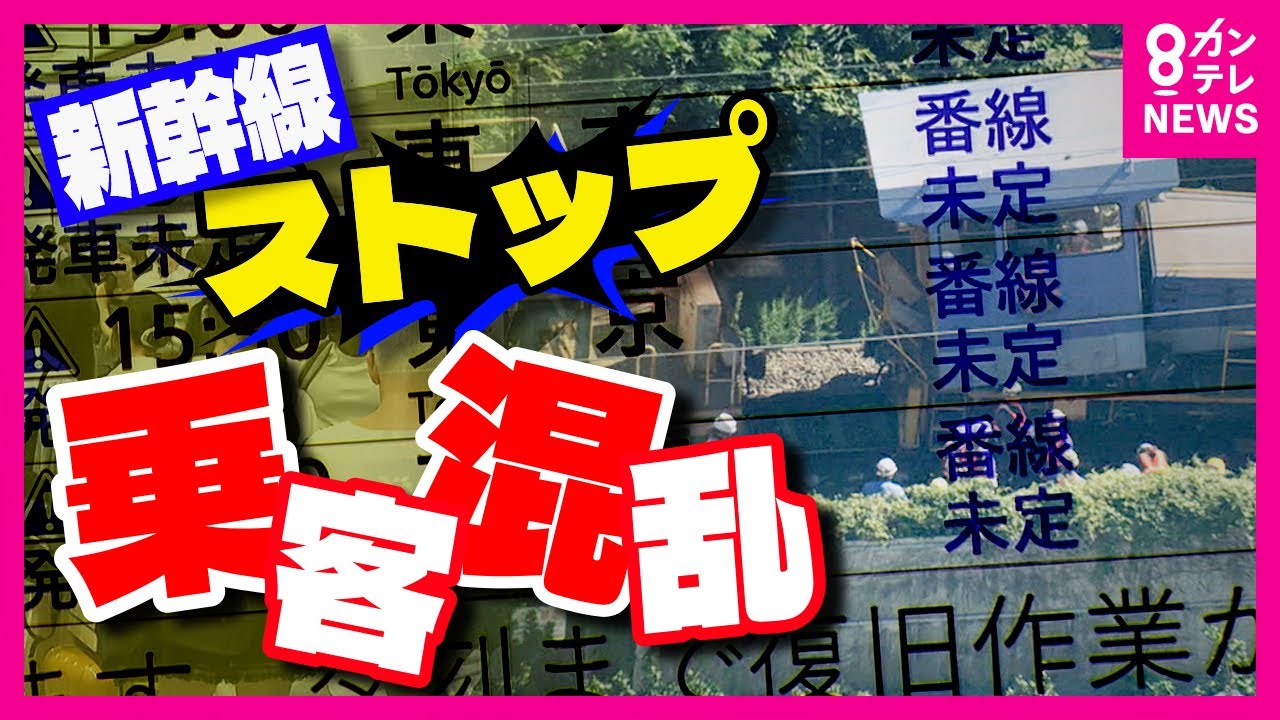 【&ldquo;新幹線依存&rdquo;の課題】「まさか丸一日運休が続くなんて」 東海道新幹線運休で25万人に影響　東海道新幹線の保守用車両が事故で脱線〈カンテレNEWS〉