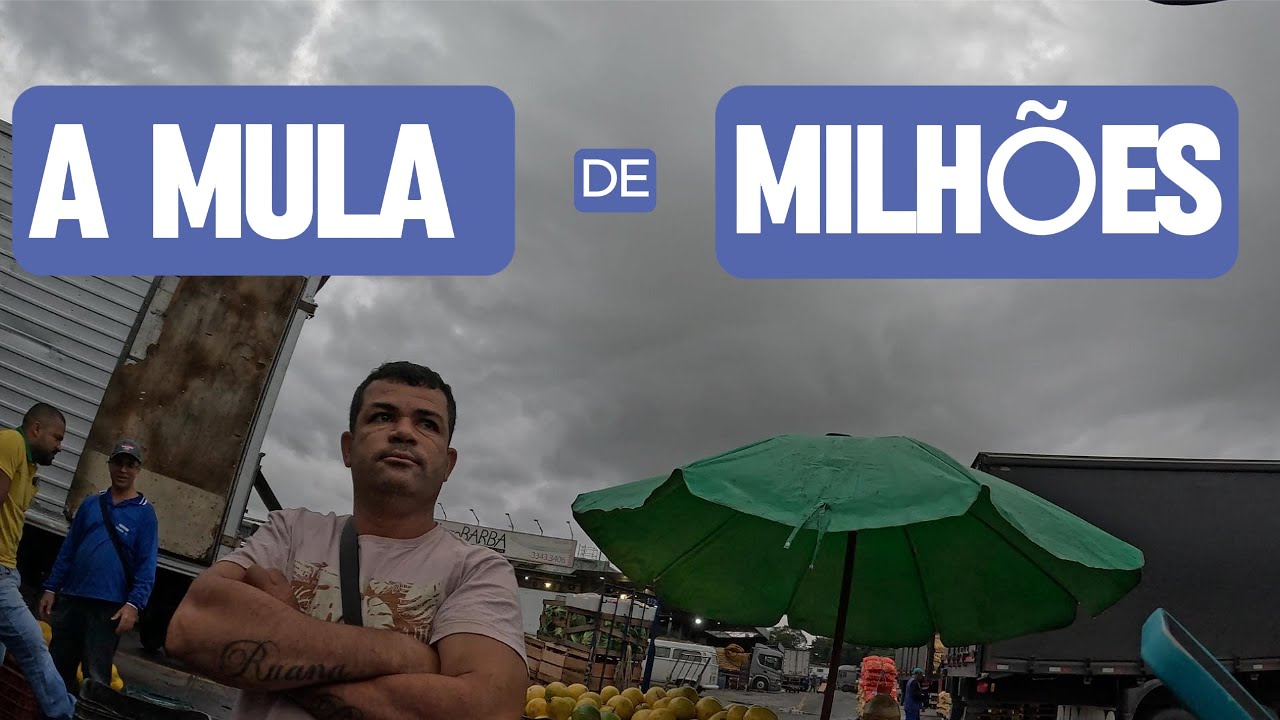 UNICO TRABALHO QUE DA DINHEIRO SEM PASSAR RAIVA #foryou #ceasa