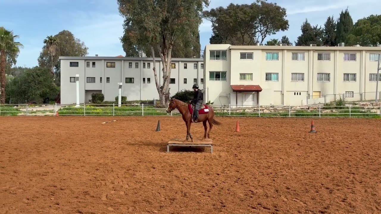 Now Levi Mimer with Bell (6094) 18 rookie IEXCA virtual show # 1 2026