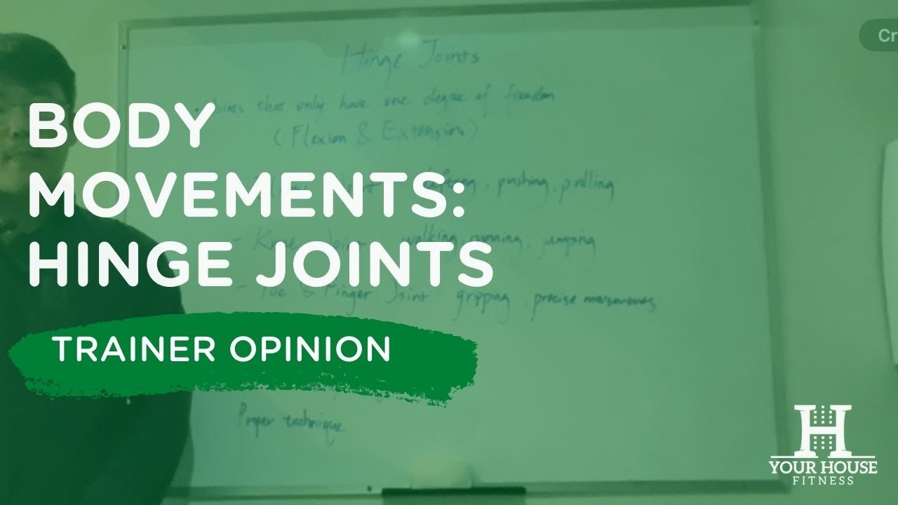 Types of Body Movements: Hinge Joints