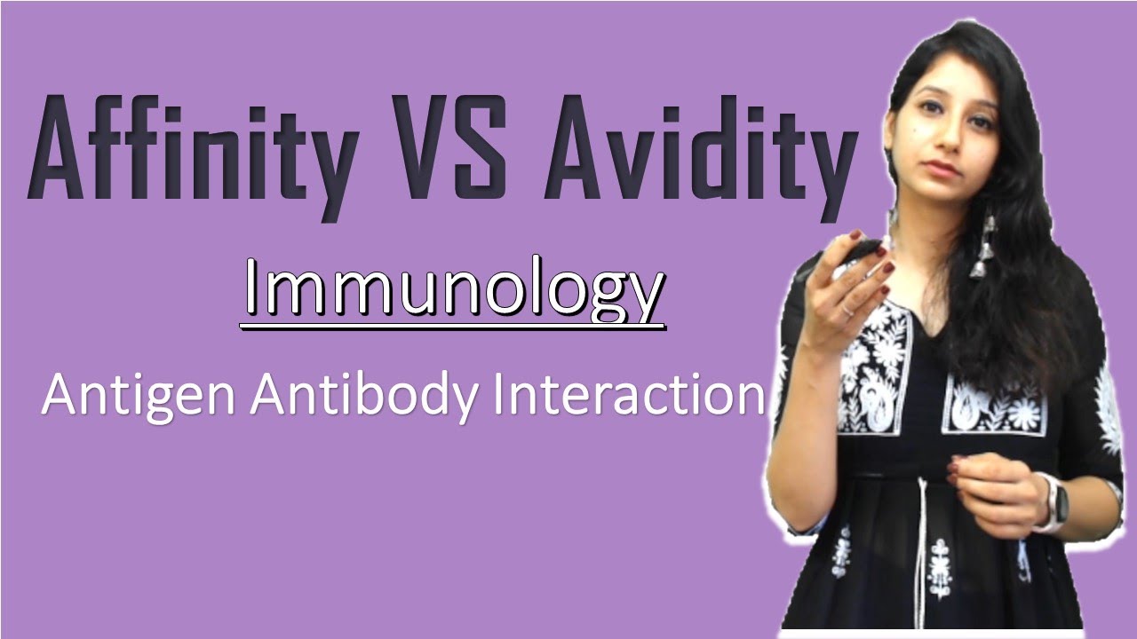 Affinity VS Avidity I Immunology I Antigen Antibody Interaction I CSIRNET NEET IITJAM GATE ICMR ICAR