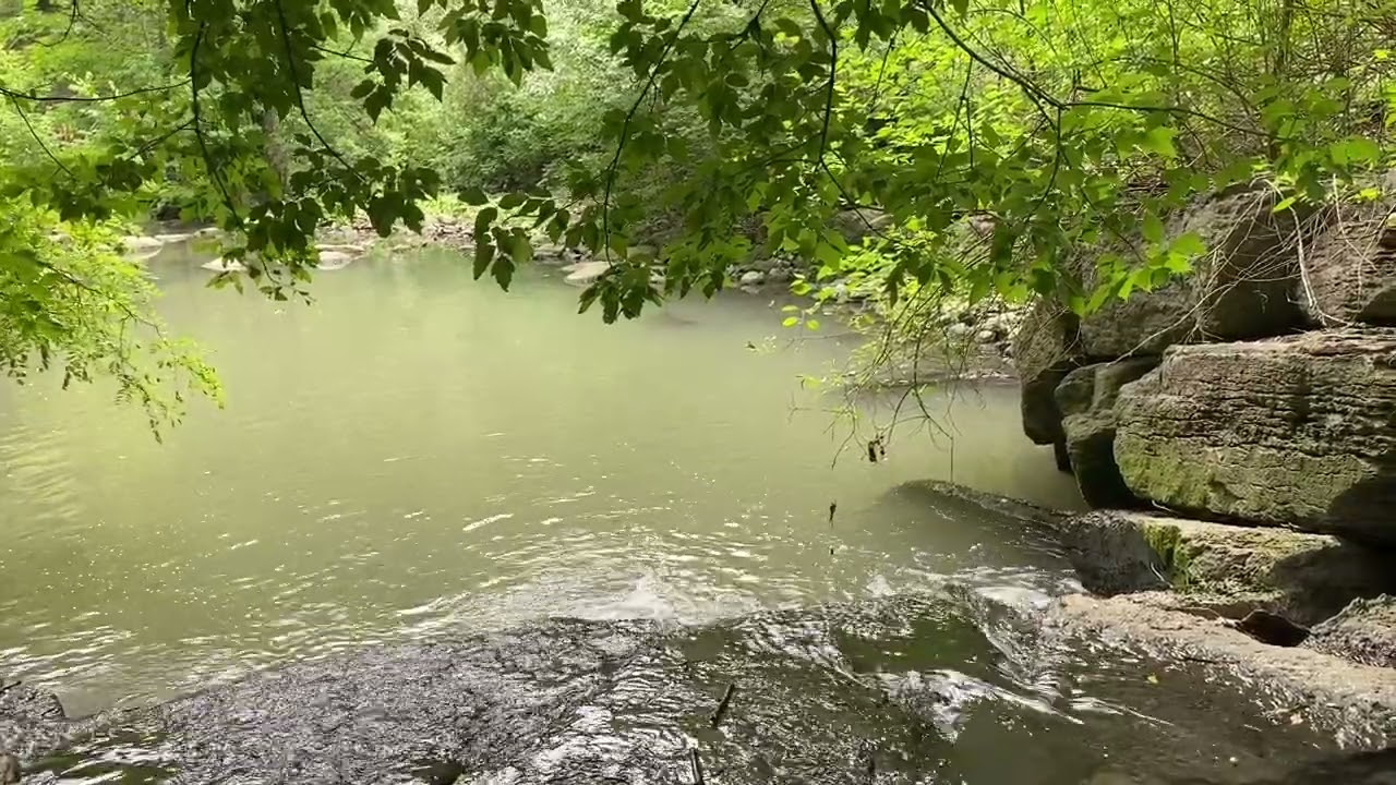 Meditation Practice: Just Like Me - 18 min
