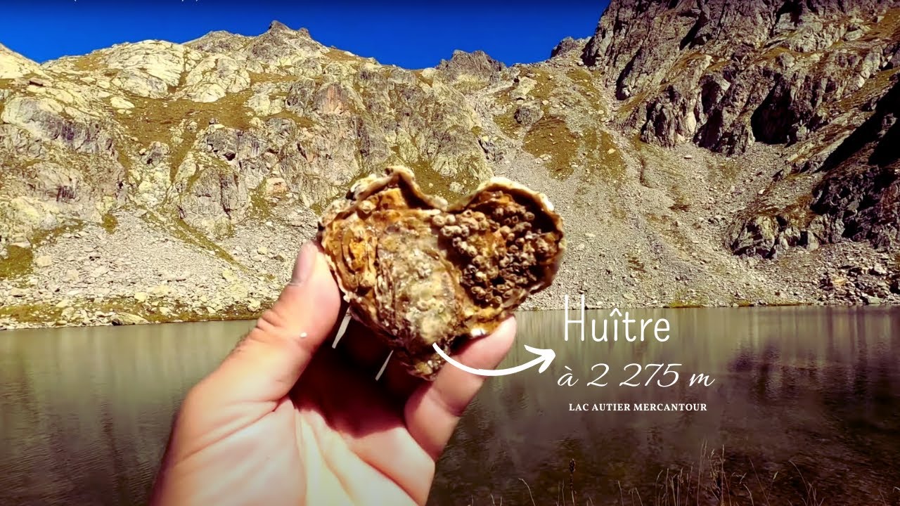 On mange des Huîtres au lac Autier (Vallée de la Gordolasque)