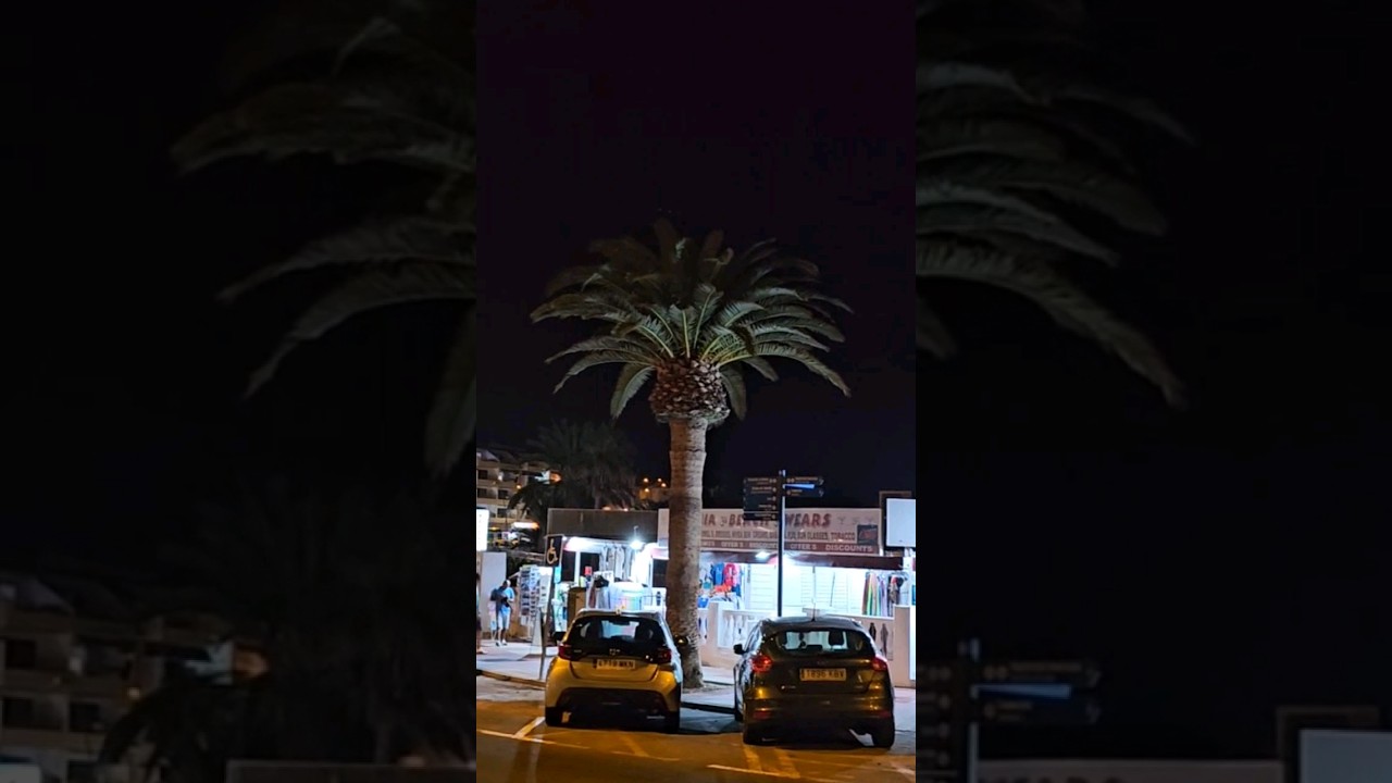 Night life in Playa de La Arena, Tenerife +25&deg;C 19:07 November 14, 2023 #tenerife #playadelaarena