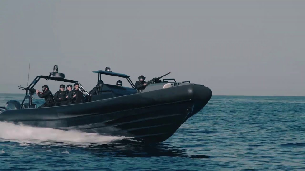 ARESA 1500 Black Falcon, la interceptora 