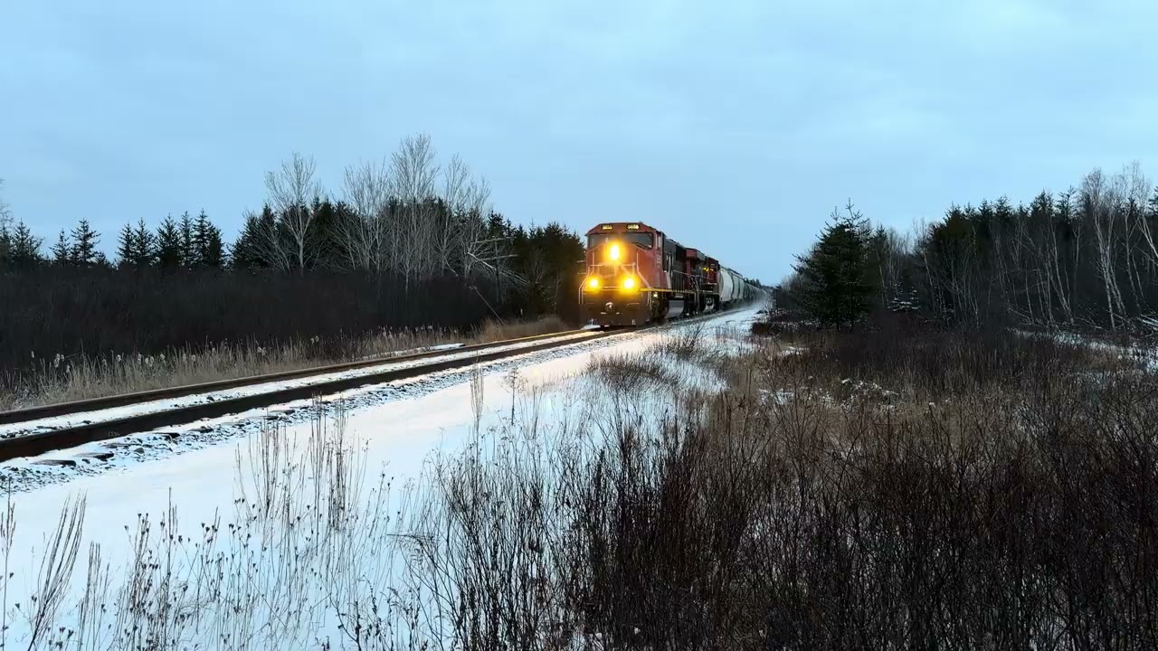 CN 5655 at Hanmer