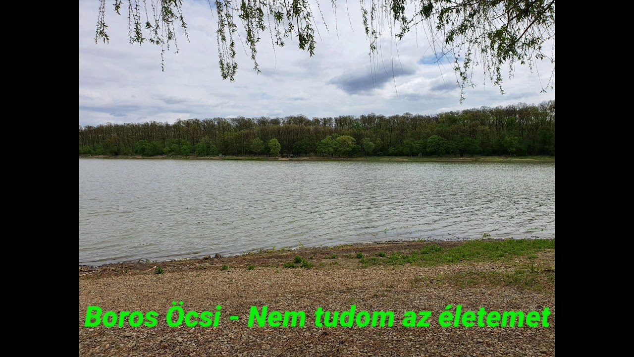 Boros Öcsi - Nem tudom az életemet ( Magyar nóta )