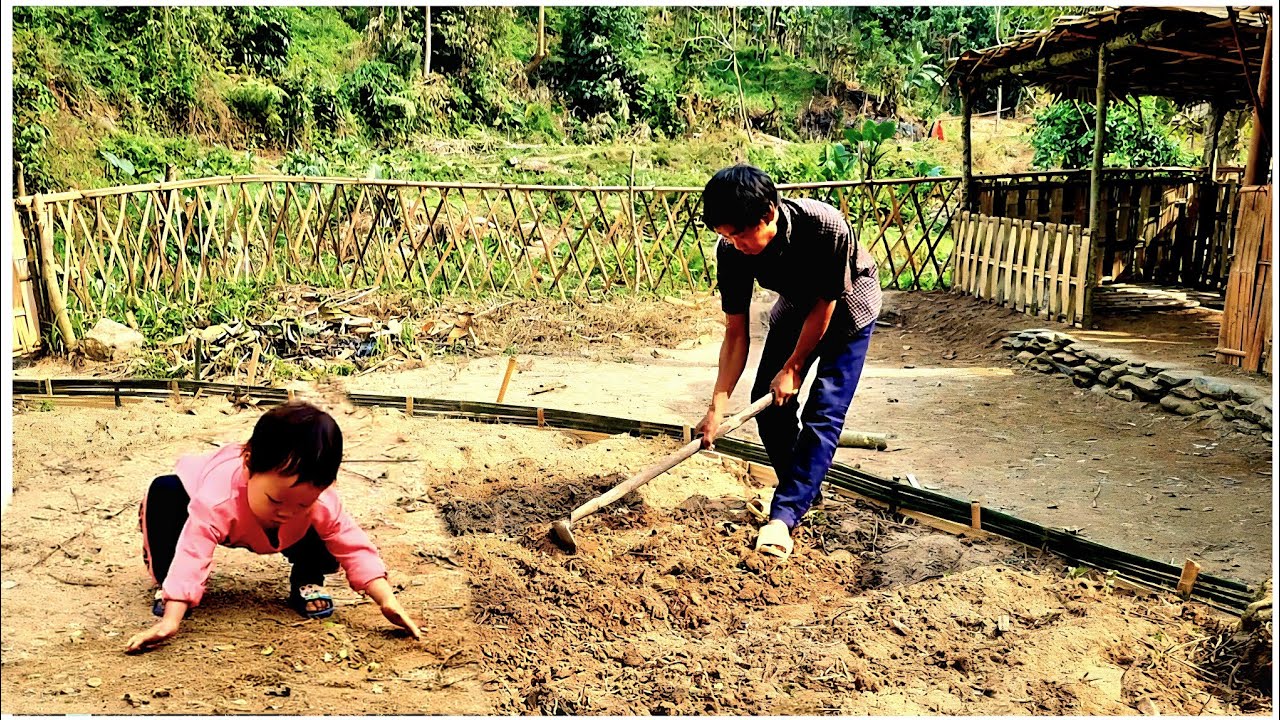 I renovated the small plot of land and planted more vegetables, beans, and peanuts.