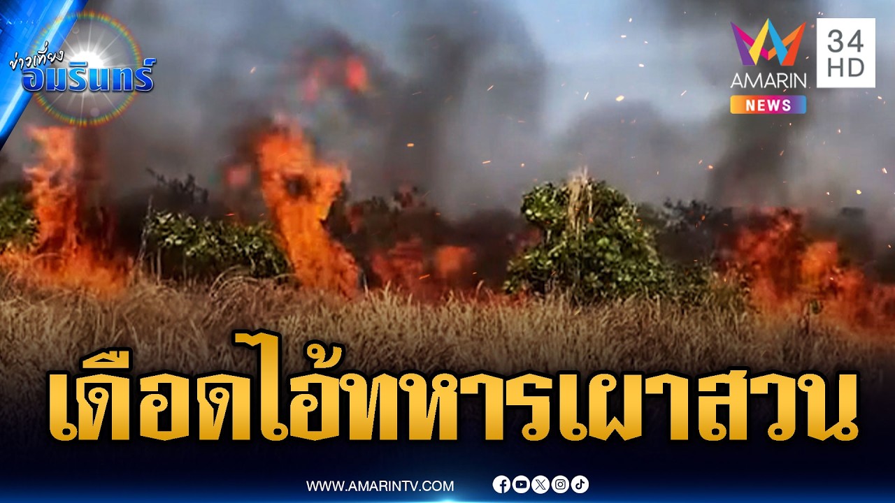 เขมรด่ากันเอง! ชาวบ้านเดือดทหารเผาป่า สวนมะม่วงหิมพานต์เหลือแค่ซาก | ข่าวเที่ยงอมรินทร์ | 22 ก.พ. 69