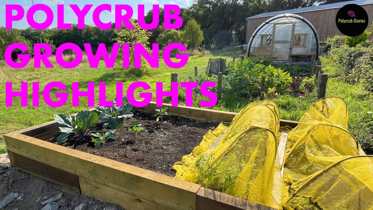 Vlog 22 - Polycrub Growing Highlights 2022