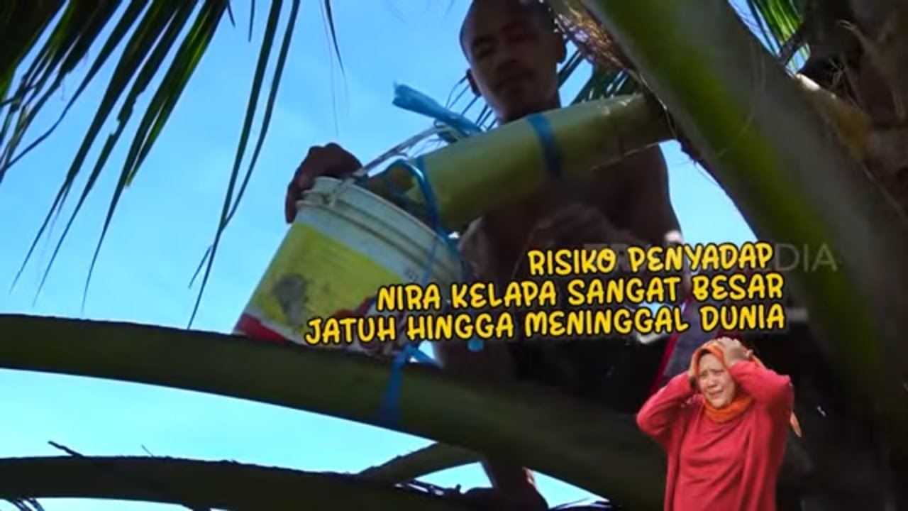 Membuat Gula Merah Dari Nira Kelapa | ENAH BIKIN ENAK (24/06/22) Part 2