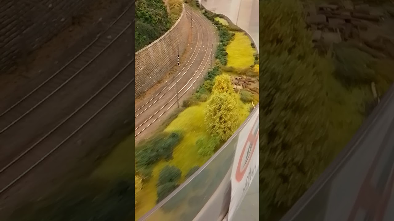 Treni modellistica in miniatura