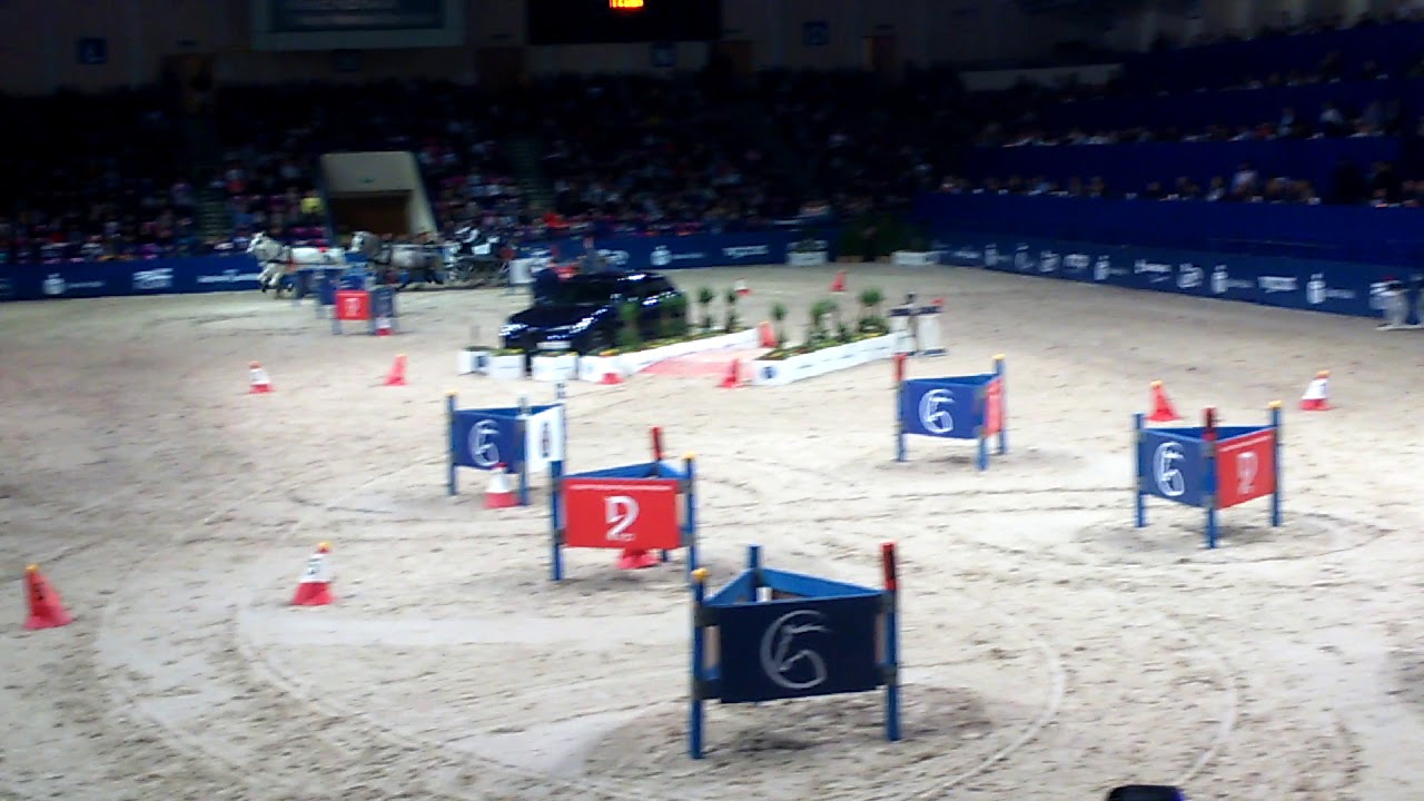 Cavaliada Warszawa 2019 zaprzęgi Ireneusz Kozłowski