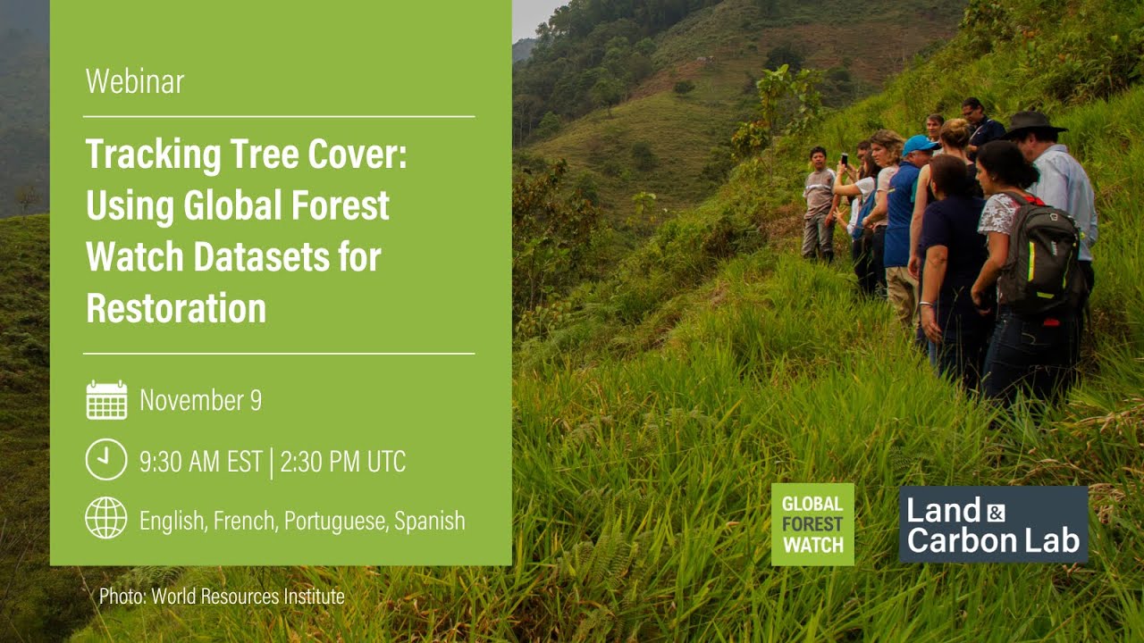 Webinar: Tracking Tree Cover: Using Global Forest Watch Datasets for Restoration (English)