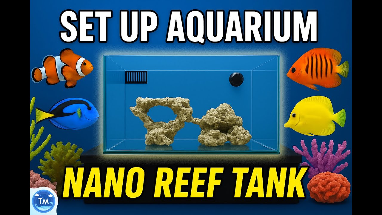 SET UP AQUARIUM LAUT | NANO REEF TANK PEMULA!!