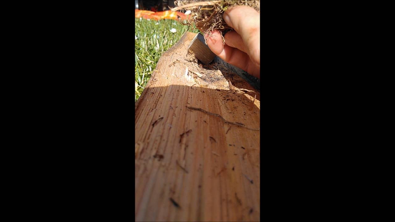 feu a la loupe / Fire with a magnifying  glass