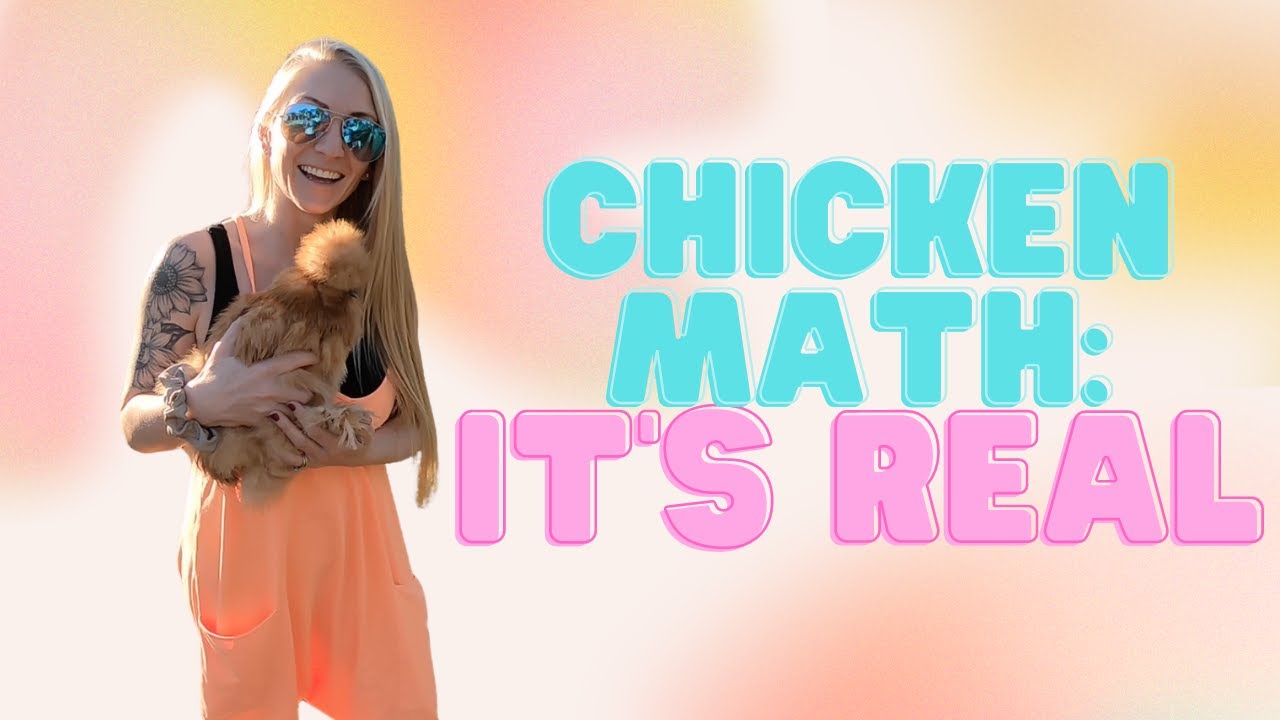 Meet The Silkie Flock...CHICKEN MATH!
