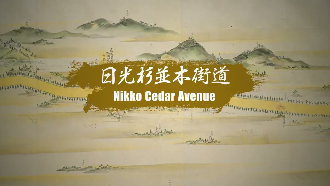 日光杉並木街道 