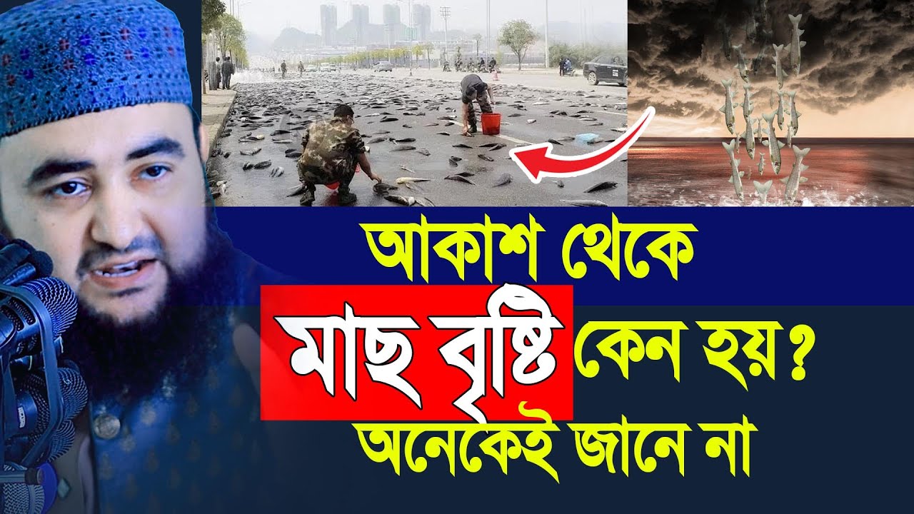 আকাশ থেকে মাছ বৃষ্টি কেন হয়? অনেকেই জানে না। Mustafiz Rahmani